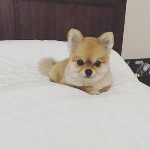 Meet your Posher, Jeesun